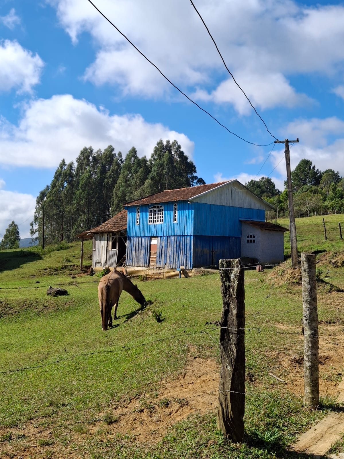 Chácara 1 - 9